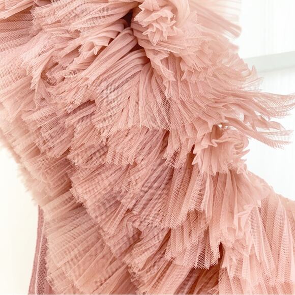 Zara Beige Pink One Shoulder Ruffled Tulle Bodysuit Bloggers Fave Small - Picture 4 of 11